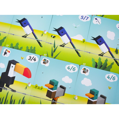 CUBIRDS CUBIRDS